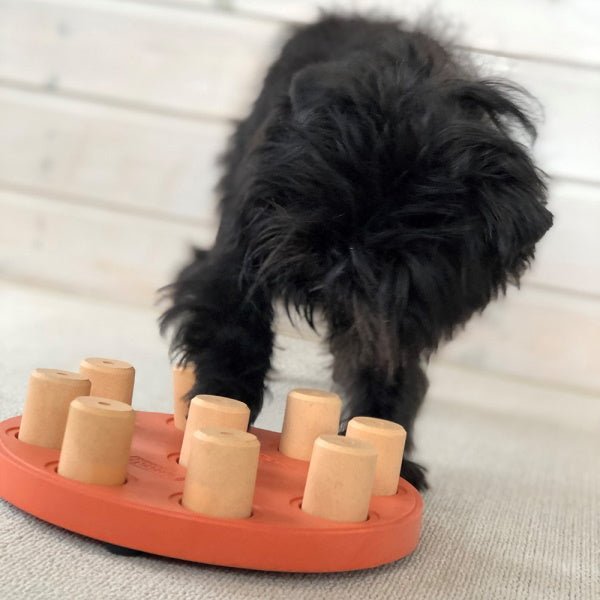 Nina Ottosson - Dog Smart Composite Orange - Puzzles from Nina Ottosson at DoggyTopia