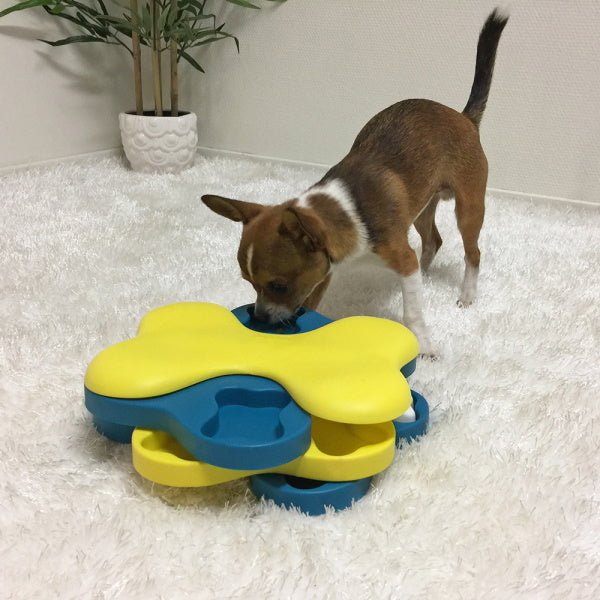 Nina Ottosson - Dog Tornado - Puzzles from Nina Ottosson at DoggyTopia