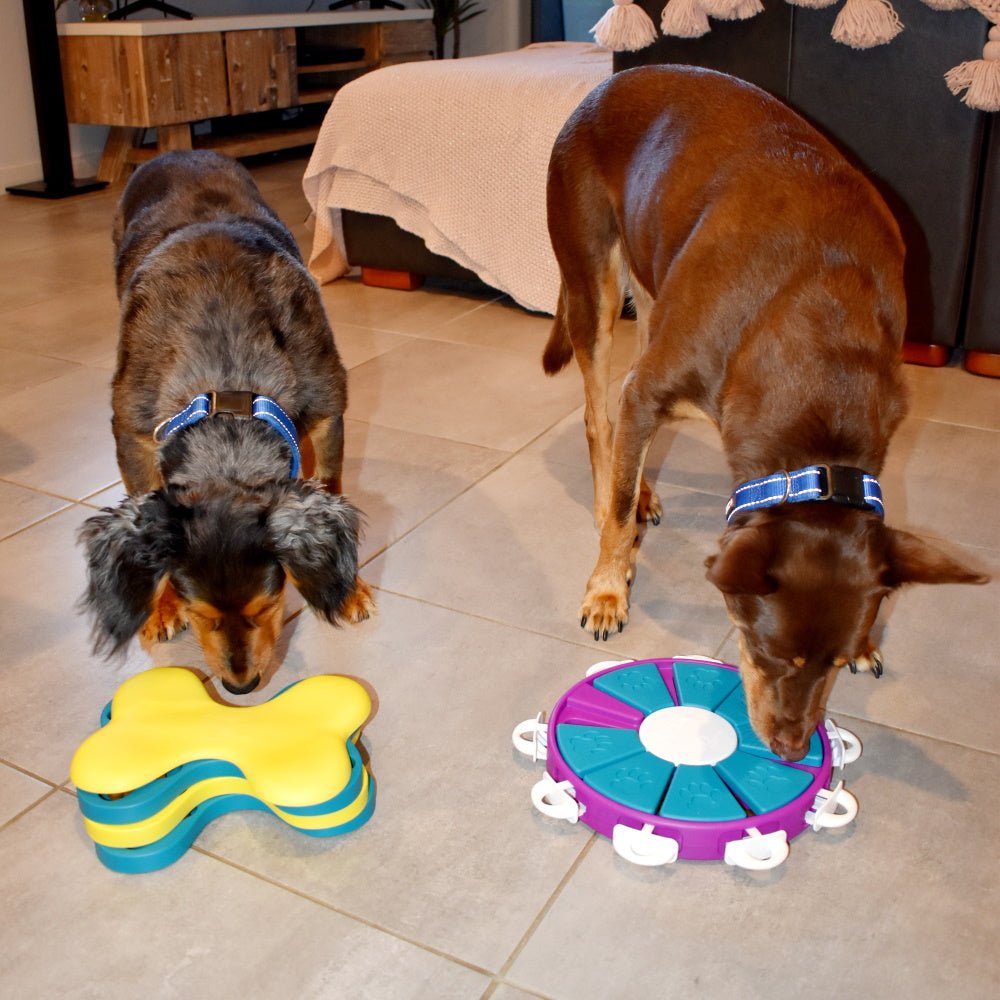 Nina Ottosson - Dog Tornado - Puzzles from Nina Ottosson at DoggyTopia