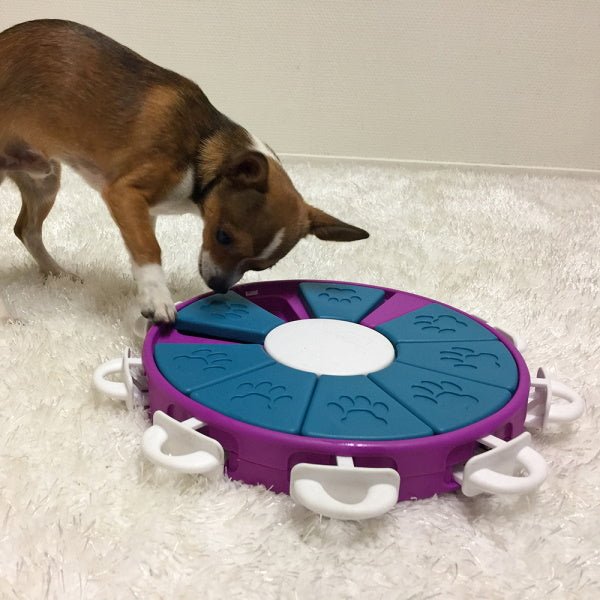 Nina Ottosson - Dog Twister - Puzzles from Nina Ottosson at DoggyTopia