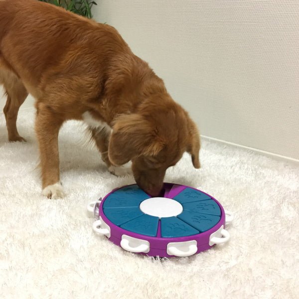 Nina Ottosson - Dog Twister - Puzzles from Nina Ottosson at DoggyTopia