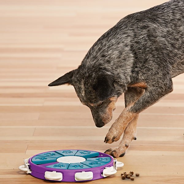 Nina Ottosson - Dog Twister - Puzzles from Nina Ottosson at DoggyTopia