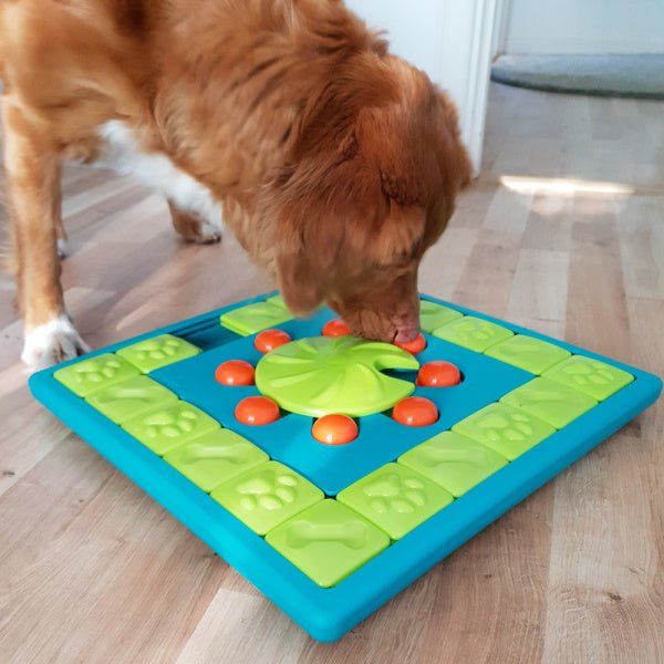 Nina Ottosson - Multipuzzle - Puzzles from Nina Ottosson at DoggyTopia