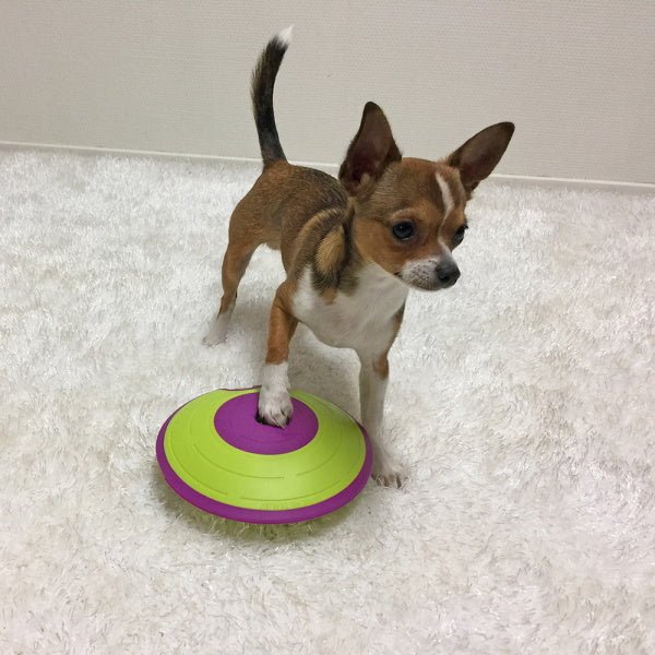 Nina Ottosson - Treat Maze - Puzzles from Nina Ottosson at DoggyTopia