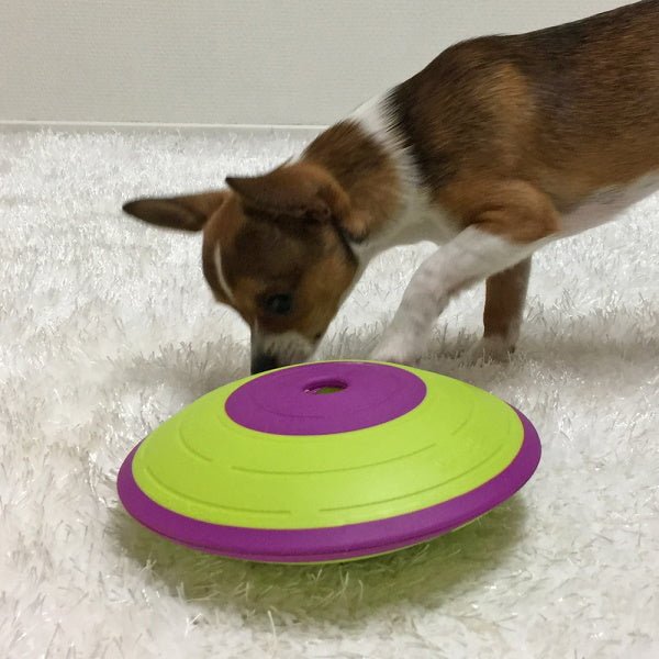 Nina Ottosson - Treat Maze - Puzzles from Nina Ottosson at DoggyTopia