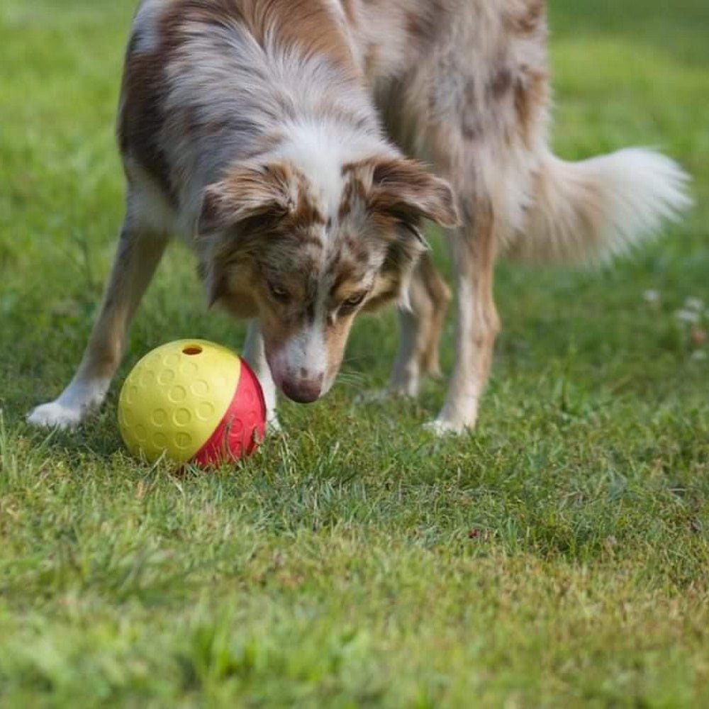 Nina Ottosson - Treat Tumble - Puzzles from Nina Ottosson at DoggyTopia