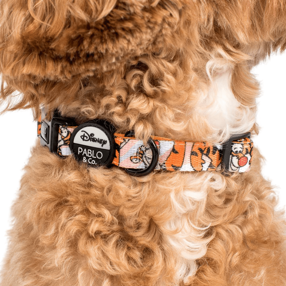 Pablo & Co One of a Kind Tigger: Dog Collar - Collars from Pablo & Co Disney at DoggyTopia