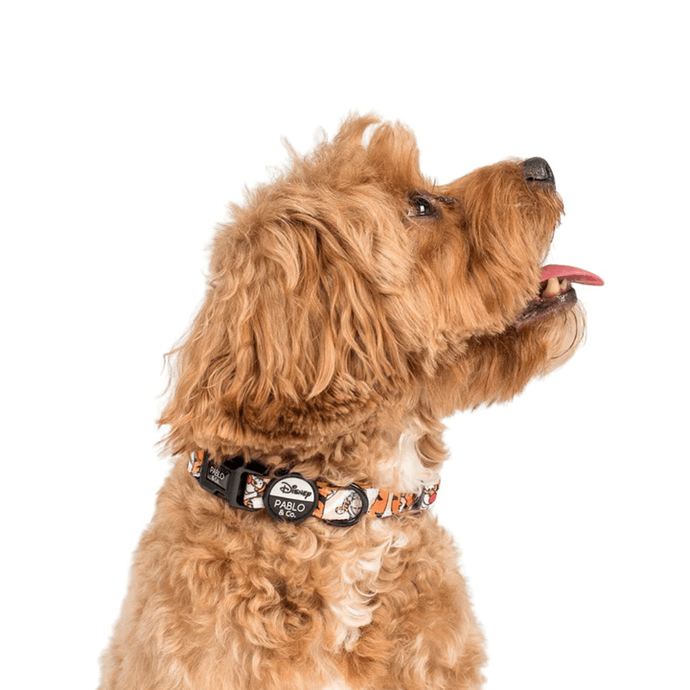 Pablo & Co One of a Kind Tigger: Dog Collar - Collars from Pablo & Co Disney at DoggyTopia