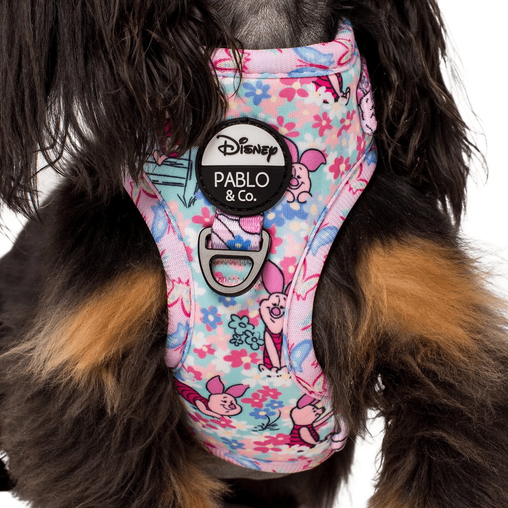 Pablo & Co Piglet: Adjustable Harness - Adjustable Harnesses from Pablo & Co Disney at DoggyTopia