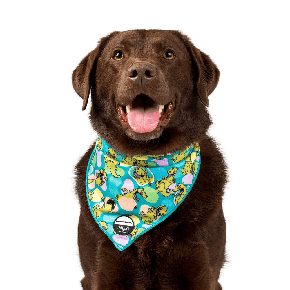 Pablo & Co Reptar: Bandana - Bandanas from Sale at DoggyTopia