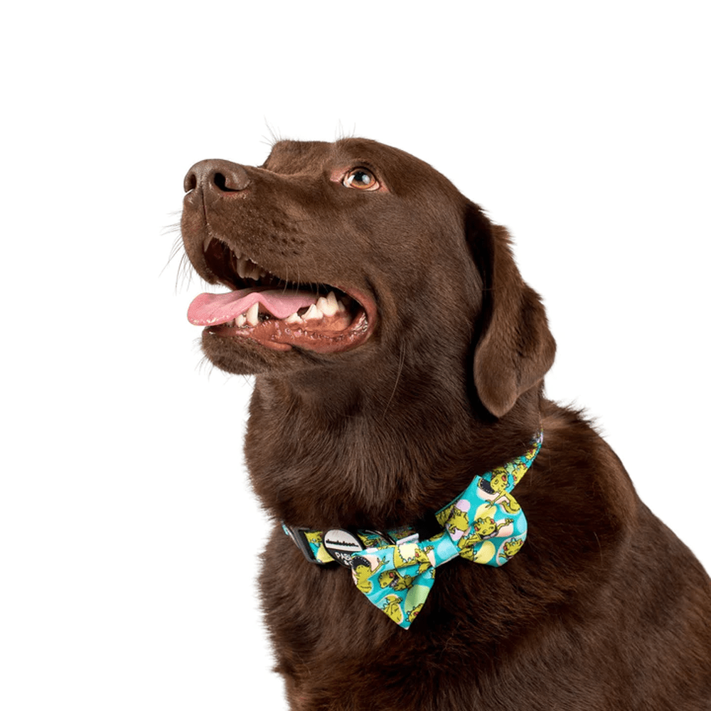 Pablo & Co Reptar: Bow Tie - Bow Ties from Sale at DoggyTopia