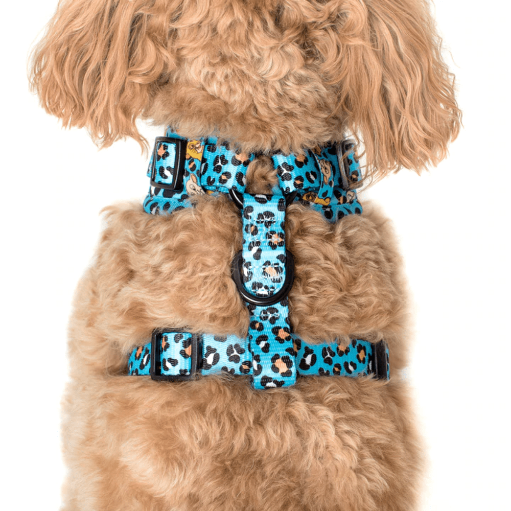 Pablo & Co The Lion King: Adjustable Harness - Adjustable Harnesses from Pablo & Co Disney at DoggyTopia