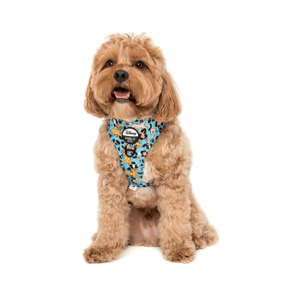 Pablo & Co The Lion King: Adjustable Harness - Adjustable Harnesses from Pablo & Co Disney at DoggyTopia