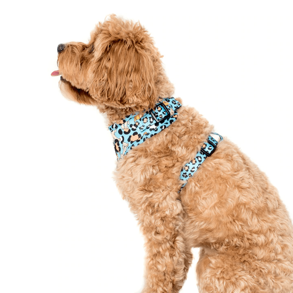 Pablo & Co The Lion King: Adjustable Harness - Adjustable Harnesses from Pablo & Co Disney at DoggyTopia