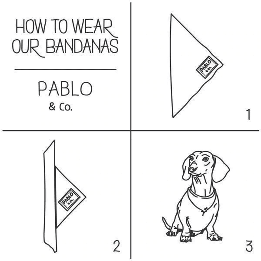 Pablo & Co The Lion King: Bandana - Bandanas from Pablo & Co Disney at DoggyTopia