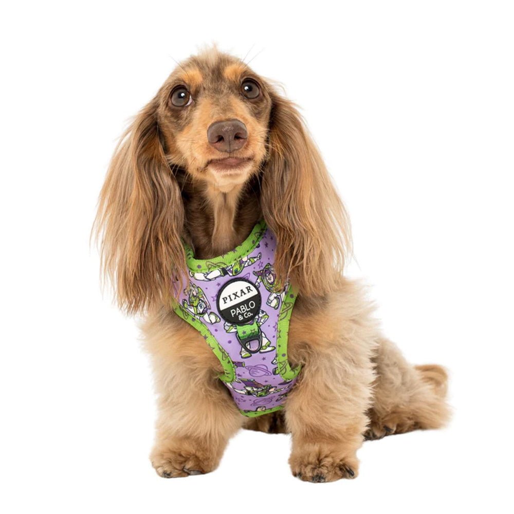 Pablo & Co Toy Story - Buzz Lightyear: Adjustable Harness - Adjustable Harnesses from Pablo & Co Disney at DoggyTopia