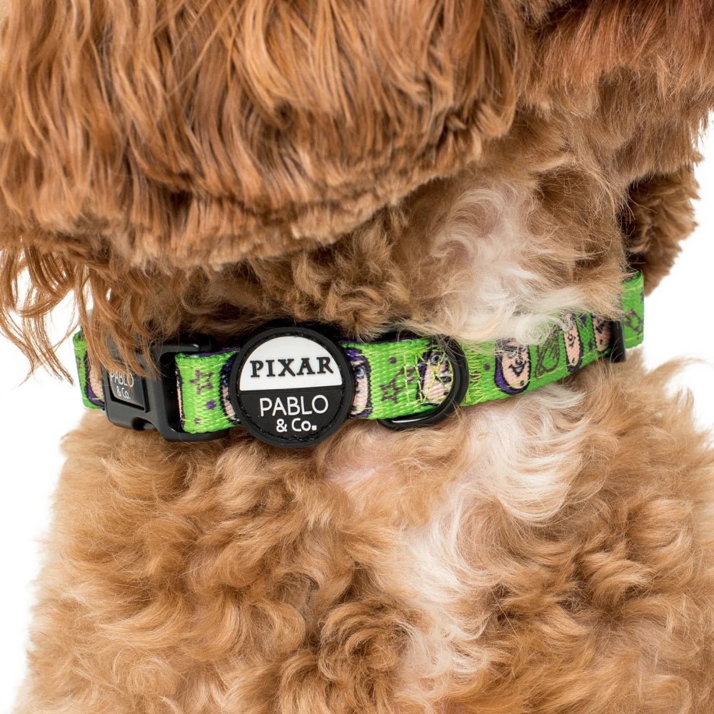 Pablo & Co Toy Story - Buzz Lightyear: Dog Collar - Collars from Pablo & Co Disney at DoggyTopia