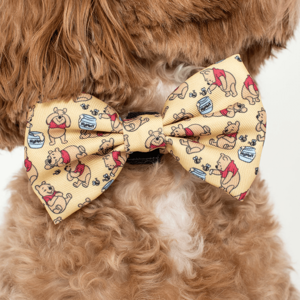 Pablo & Co Winnie the Pooh & Bee's: Bow Tie - Bow Ties from Pablo & Co Disney at DoggyTopia