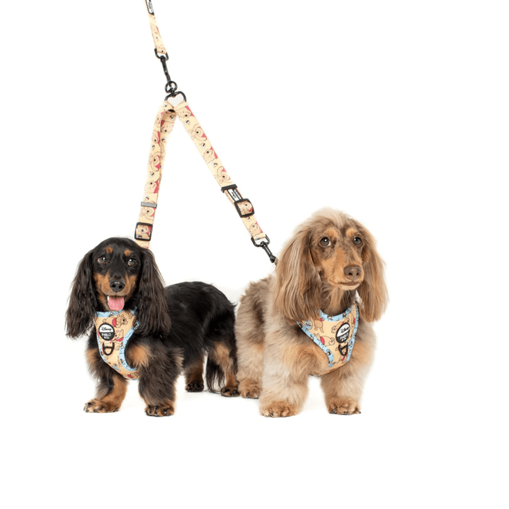 Pablo & Co Winnie the Pooh & Bee's: Leash Splitter - Leash Splitters from Pablo & Co Disney at DoggyTopia