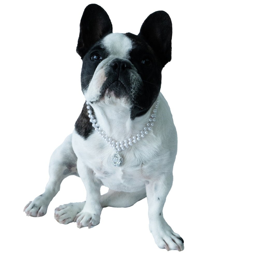 Pearl And Oval Jewel Pendant Dog Necklace - Dog Necklaces from Sale at DoggyTopia