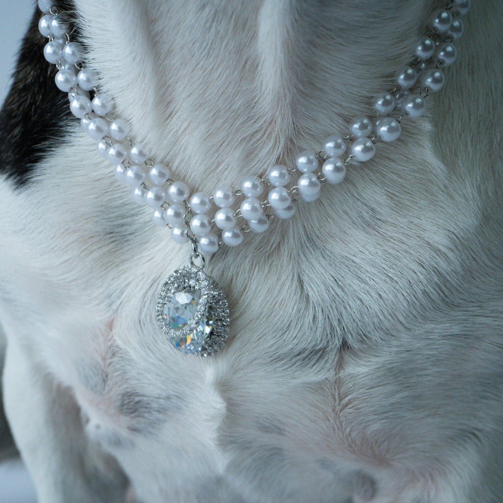 Pearl And Oval Jewel Pendant Dog Necklace - Dog Necklaces from Sale at DoggyTopia