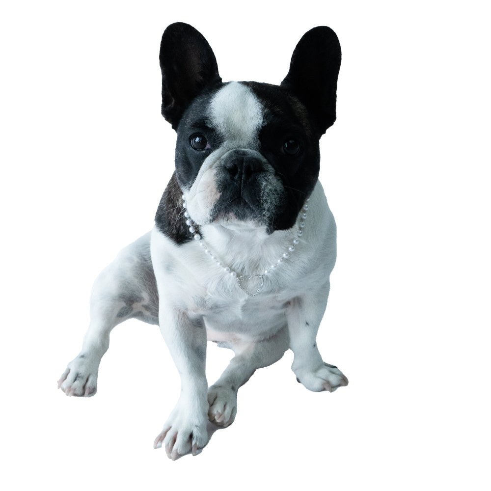 Pearl Diamante Heart Dog Necklace - Dog Necklaces from Sale at DoggyTopia