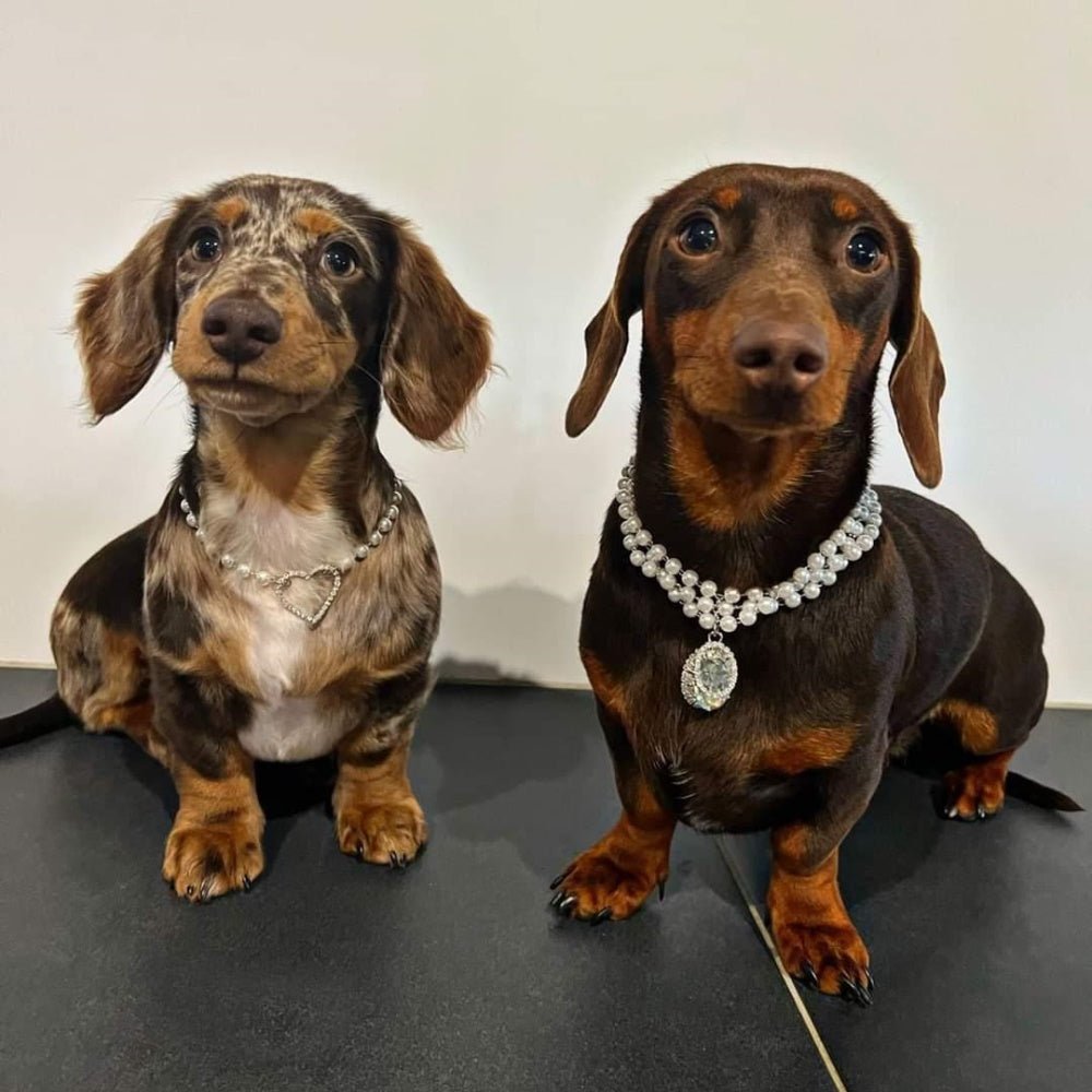 Pearl Diamante Heart Dog Necklace - Dog Necklaces from Sale at DoggyTopia