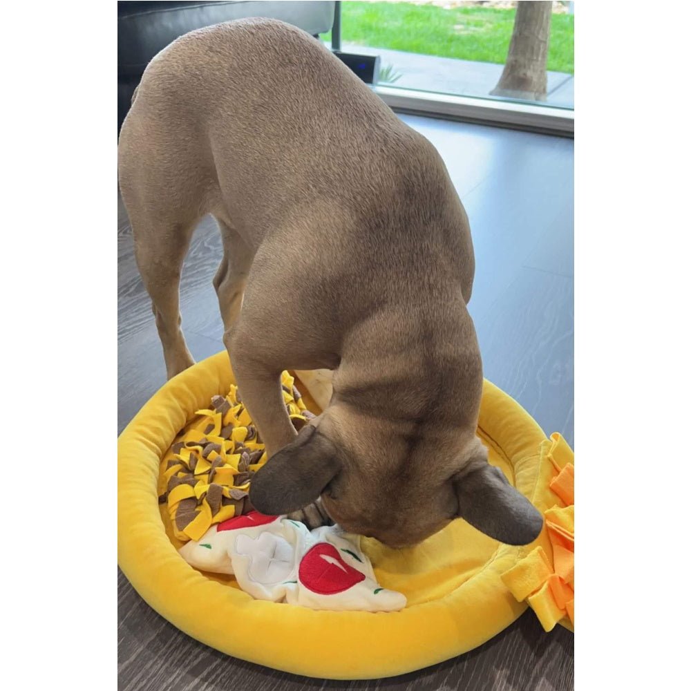 Pizza Snuffle Mat - Snuffle Mats from . at DoggyTopia