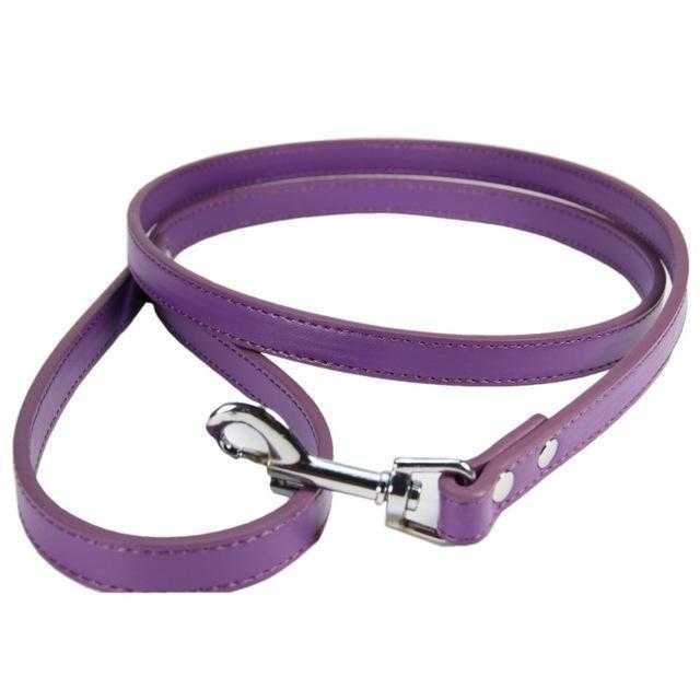 PU Leather Dog Leash - Leashes & Leads from . at DoggyTopia