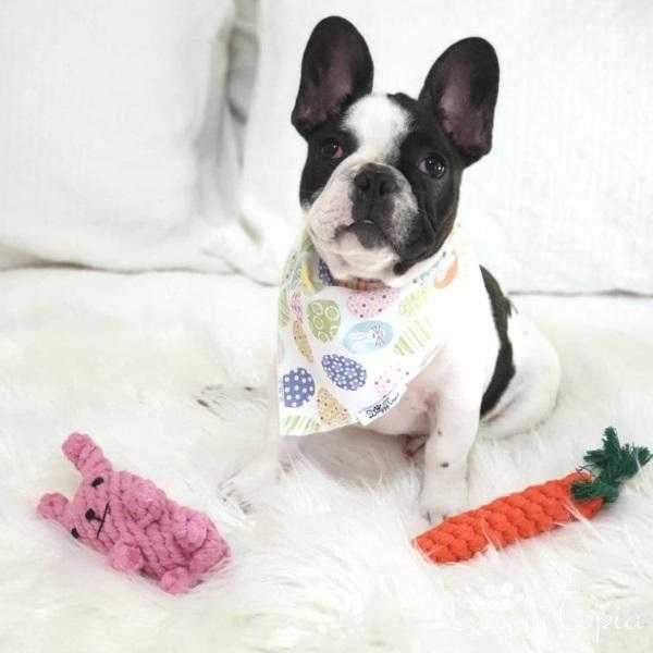 Rabbit Rope Dog Toy - Rope Toys from . at DoggyTopia
