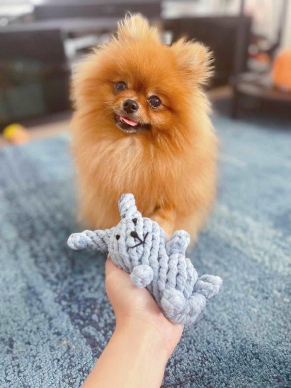 Rabbit Rope Dog Toy - Rope Toys from . at DoggyTopia