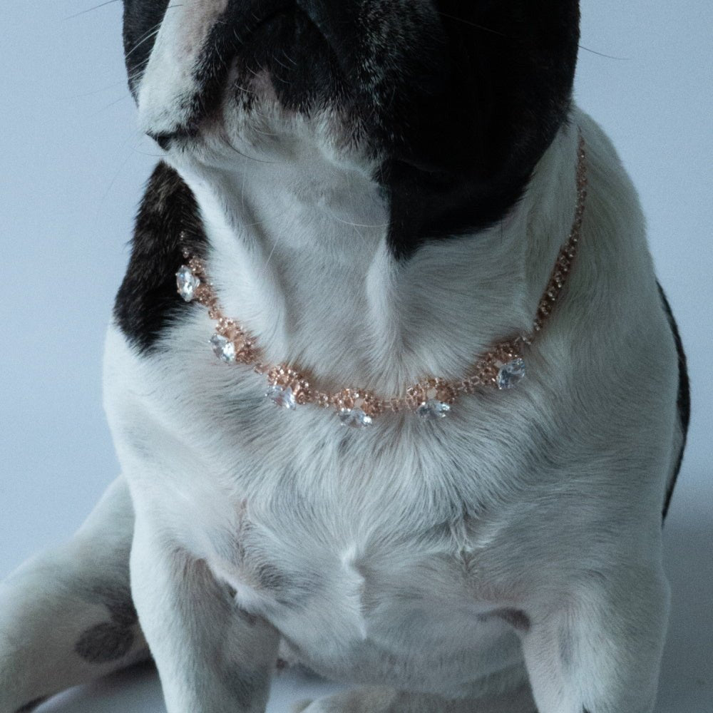 Rose Gold Diamante Solitaire Dog Necklace - Dog Necklaces from Sale at DoggyTopia