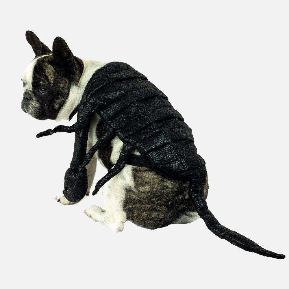 Scorpion Dog Costume - Costumes from Sale at DoggyTopia