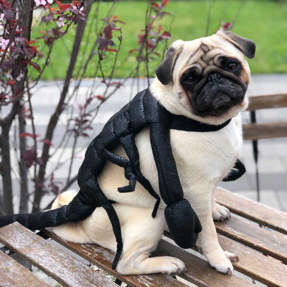 Scorpion Dog Costume - Costumes from Sale at DoggyTopia