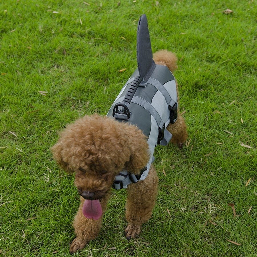 Shark Dog Life Jacket - Life Jackets from . at DoggyTopia