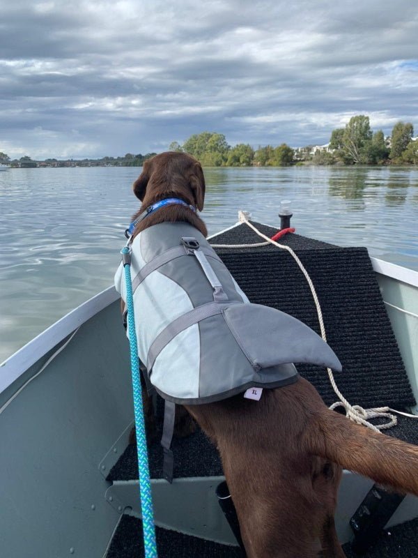 Shark Dog Life Jacket - Life Jackets from . at DoggyTopia