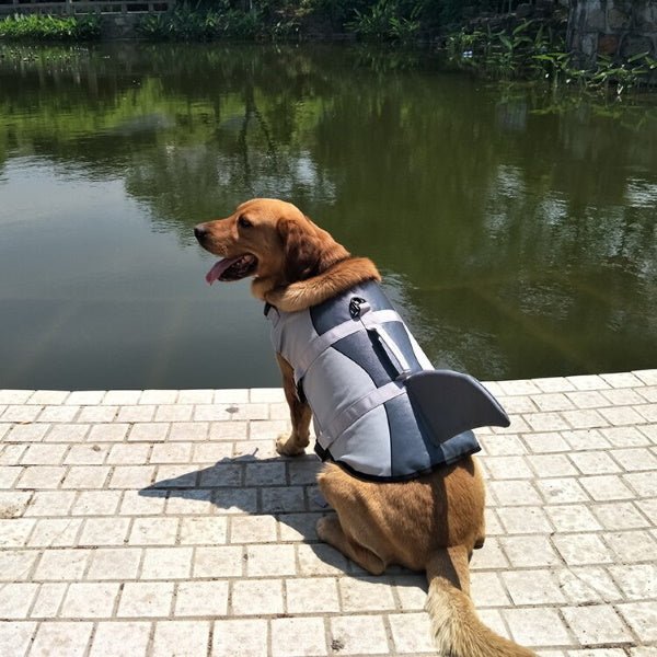 Shark Dog Life Jacket - Life Jackets from . at DoggyTopia