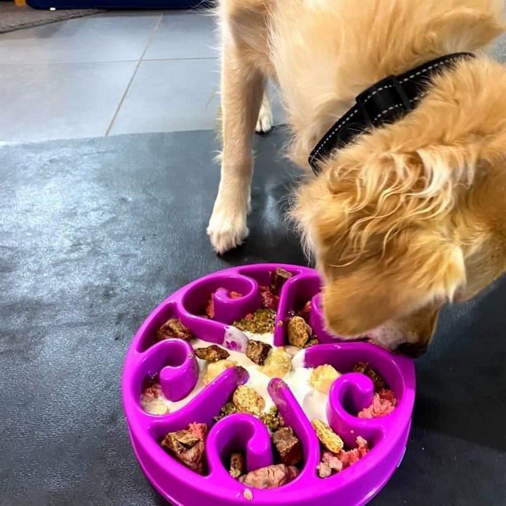 Slow Feeder Swirl Dog Bowl - Slow Feeding Bowls from . at DoggyTopia