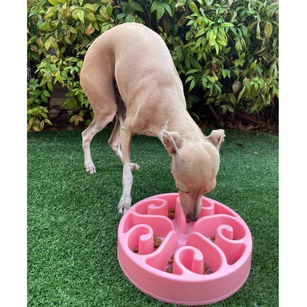 Slow Feeder Swirl Dog Bowl - Slow Feeding Bowls from . at DoggyTopia