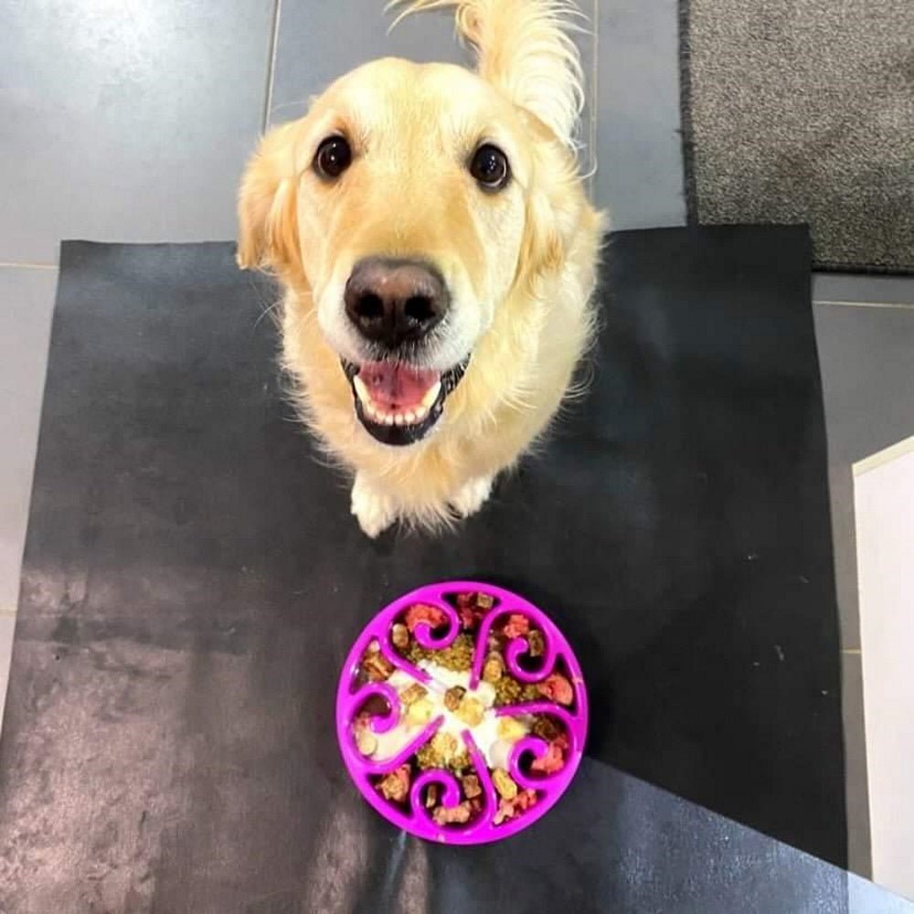 Slow Feeder Swirl Dog Bowl - Slow Feeding Bowls from . at DoggyTopia