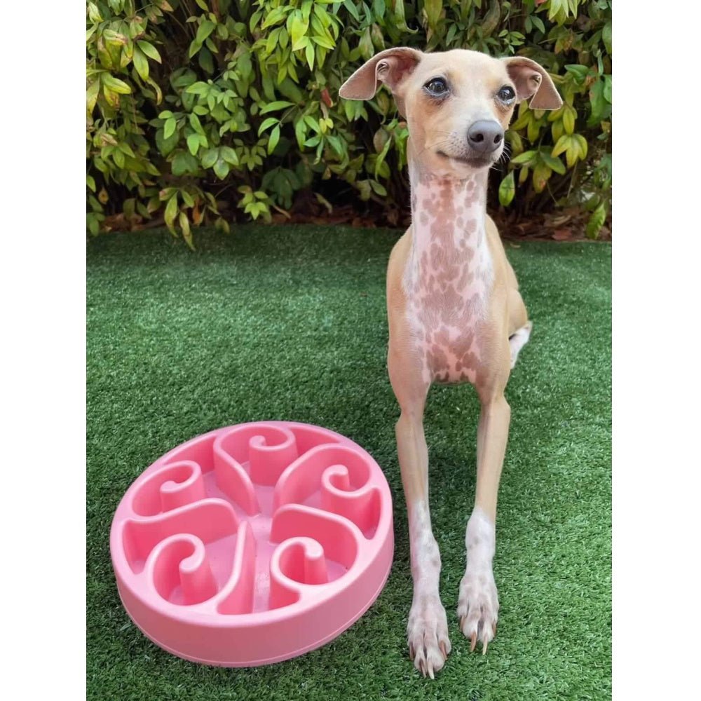 Slow Feeder Swirl Dog Bowl - Slow Feeding Bowls from . at DoggyTopia