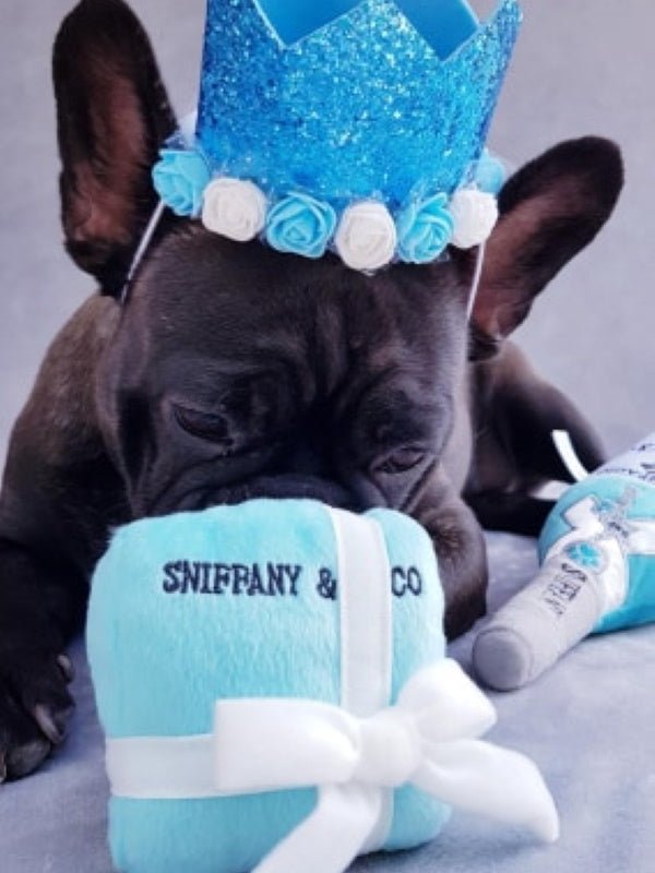 Sniffany & Co Box Dog Toy - Designer Toys from Dog Diggin Designs at DoggyTopia