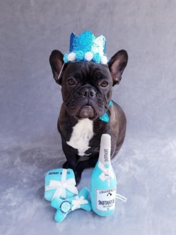 Sniffany & Co Box Dog Toy - Designer Toys from Dog Diggin Designs at DoggyTopia