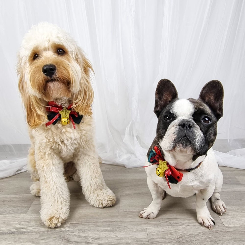 Star Bow Knot Christmas Collar - Christmas Collar & Bow Ties from Sale at DoggyTopia