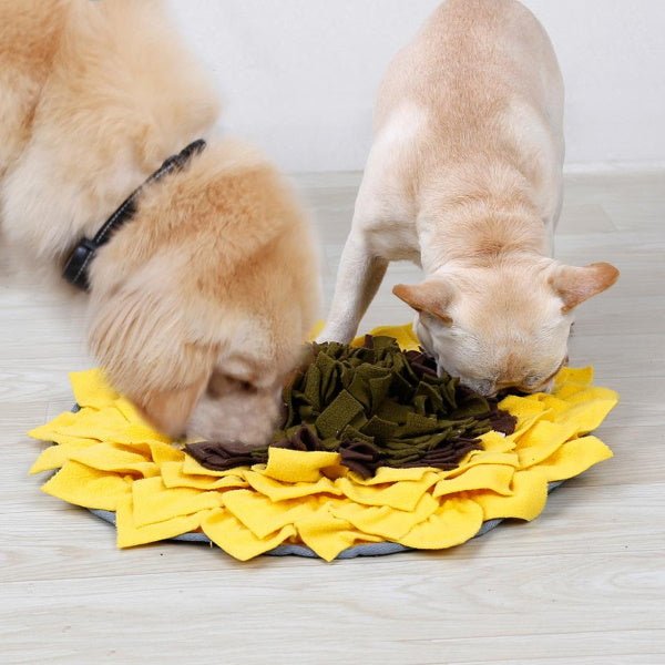 Sunflower Snuffle Mat - Snuffle Mats from . at DoggyTopia