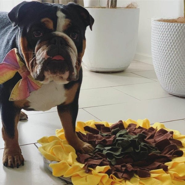 Sunflower Snuffle Mat - Snuffle Mats from . at DoggyTopia