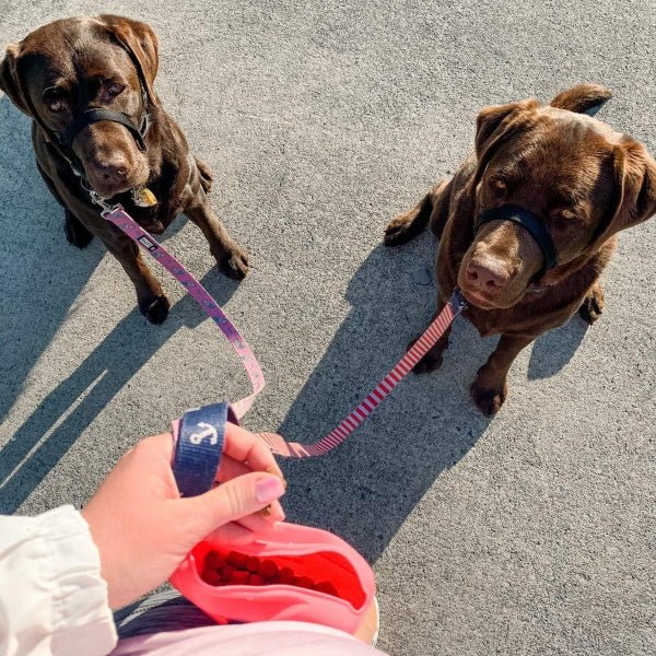 Training Treat Pouch - Treat Pouchs from DoggyTopia at DoggyTopia