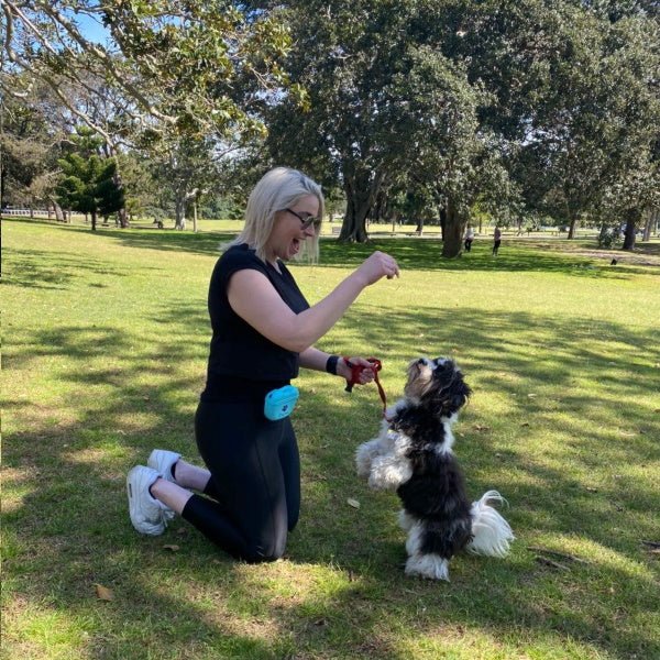 Training Treat Pouch - Treat Pouchs from DoggyTopia at DoggyTopia