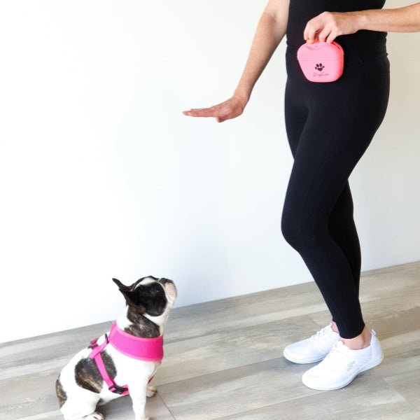 Training Treat Pouch - Treat Pouchs from DoggyTopia at DoggyTopia