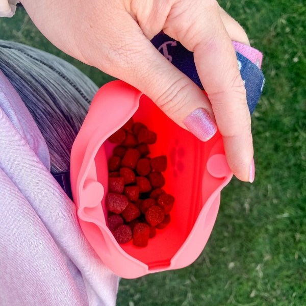 Training Treat Pouch - Treat Pouchs from DoggyTopia at DoggyTopia